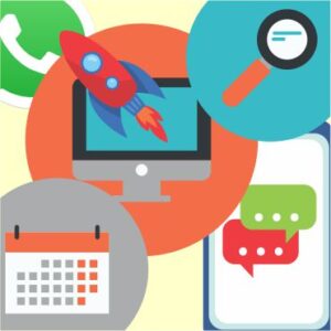 Acompanhamos seu site e suas mídias sociais